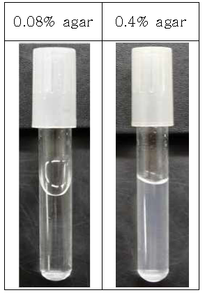 0.08% 한천과 0.4% 한천 사면배지 비교. 0.08% 한천배지는 굳지 않았고 0.4% 한천배지는 굳어 있음. 보관 및 일시적인 배양용 사면 배지는 0.4% 한천 사용. 살균력 시험에서 배양접시(petri dish, 직경 100 또는 90 mm)를 이용하여 고체배지로 배양