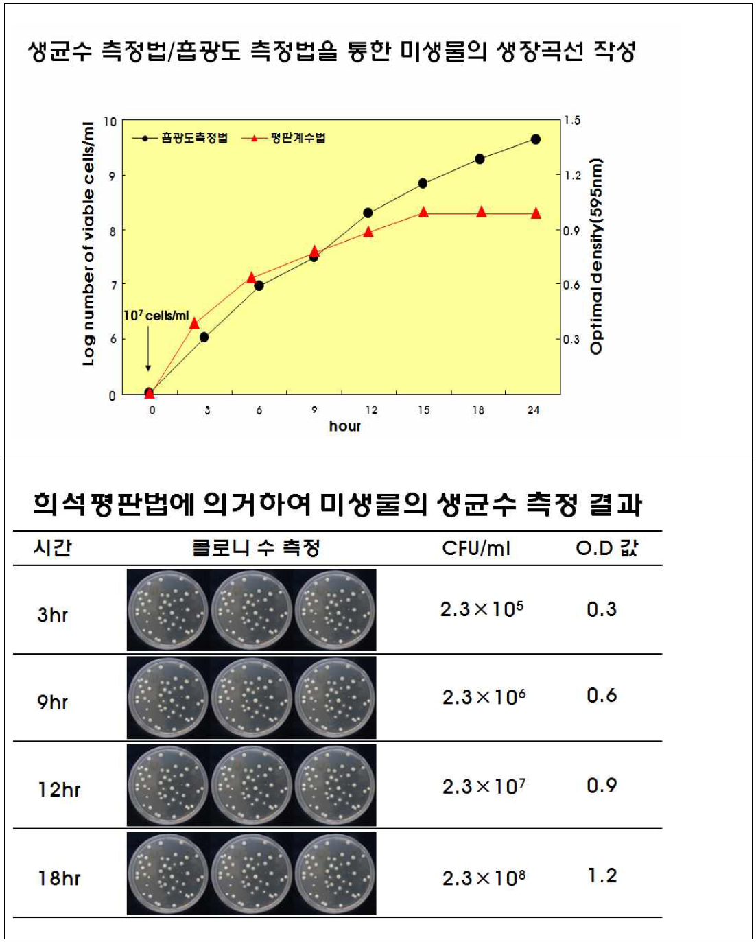 생장곡선 작성의 요약