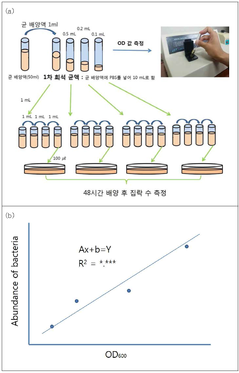 검량선을 이용한 생균수 측정의 예. (a) 흡광도 측정법 및 평판배양법, (b) (a)의 측정 결과(흡광도 600 nm)를 이용한 검량선 작성. x(OD)값을 이용하여 검량선으로부터 생균수를 측정한다. 모든 시험 3반복 이상 측정하고 고체배지의 집락 수 측정을 위한 도말 고체배지는 3장 이상 시험