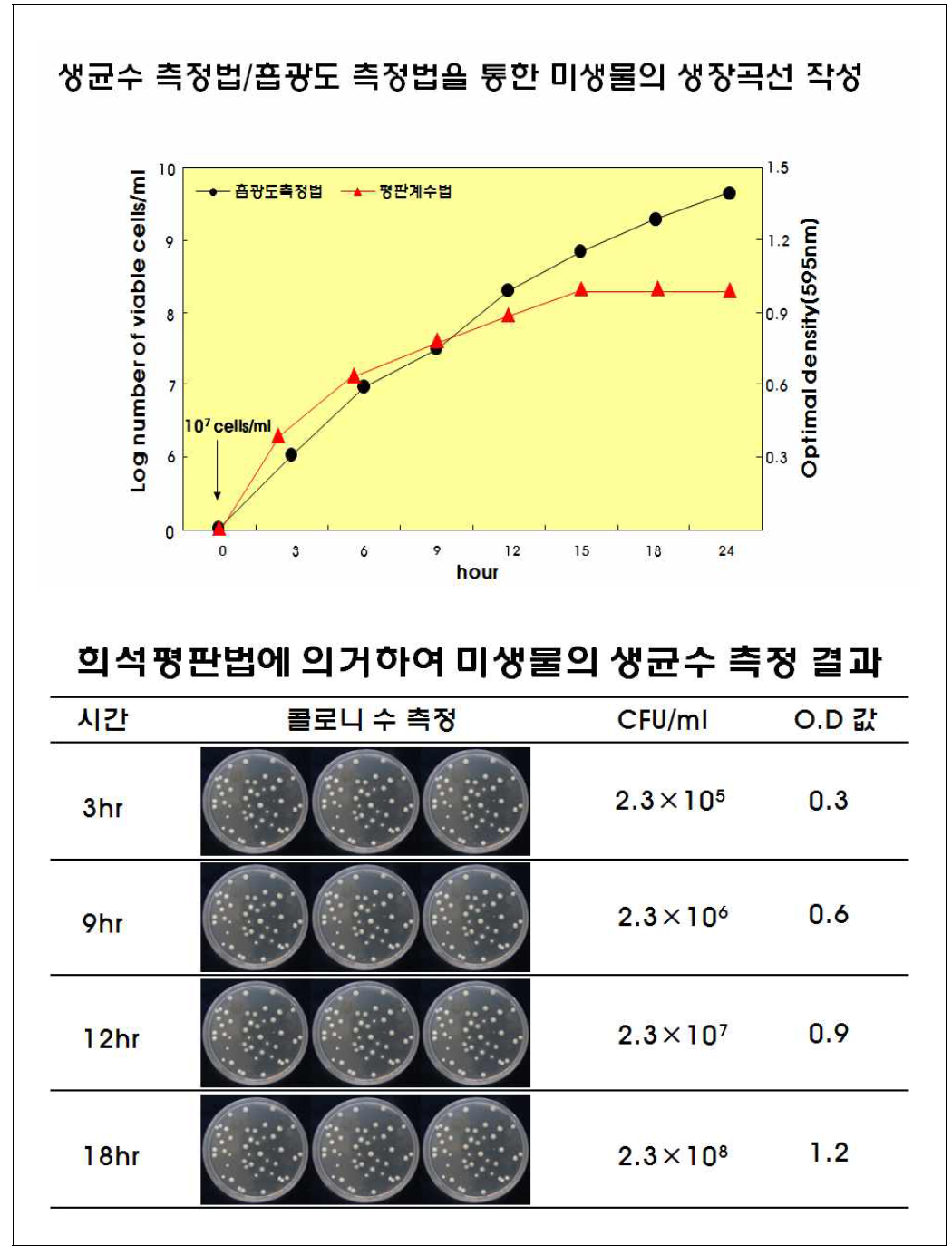 시험균주의 생장 측정 결과