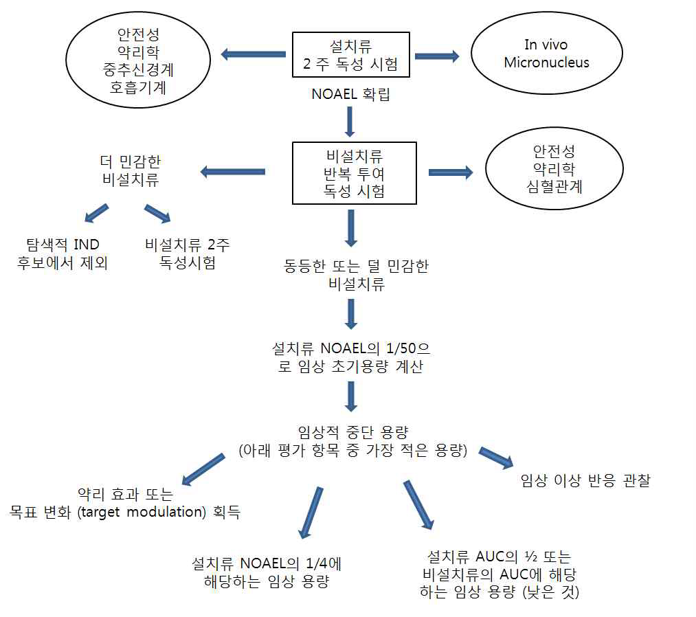 용량 설정에 관한 탐색적 IND의 비임상 독성 시험 전략