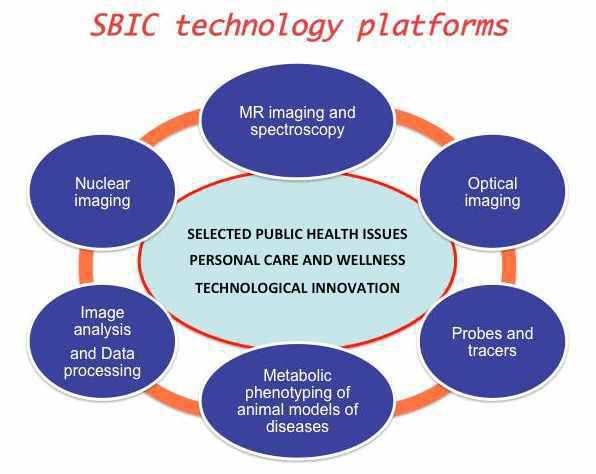 SBIC의 주요 기술 플랫폼