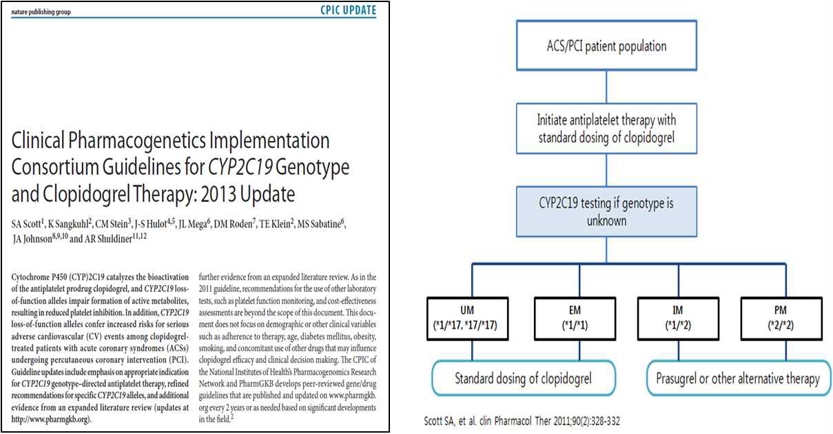 CPIC clopidogrel dosing guideline