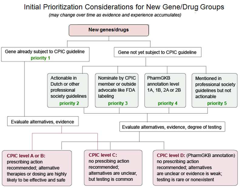 신규 유전자-약물쌍의 가이드라인 개발 후보선정 과정
