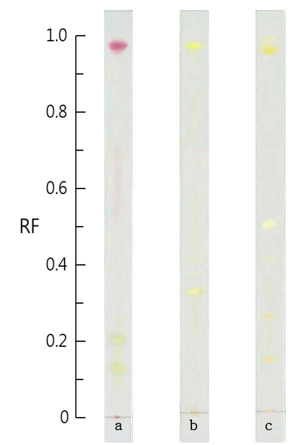 Thin layer chromatogram of standard solution of carotenoid color.