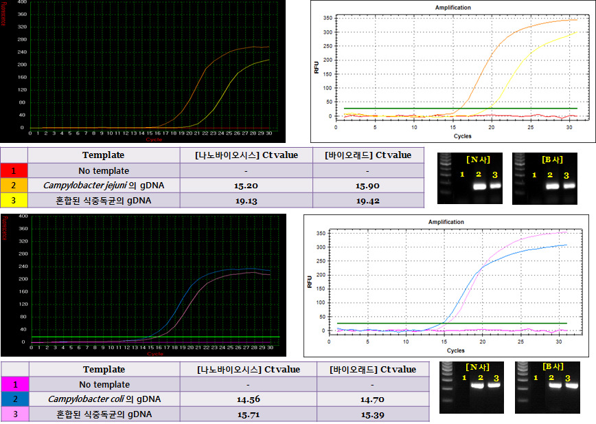 Lab Chip Real-time PCR로 Campylobacter jejuni & Campylobacter coli 각 각의 프라이머 특이성을 실험한 그래프와 agarose gel 전기영동 사진