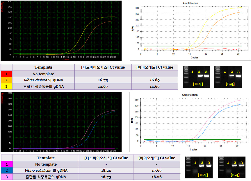 Lab Chip Real-time PCR로 Vibrio cholera & Vibrio vulinificus 각 각의 프라이머 특이성을 실험한 그래프와 agarose gel 전기영동 사진