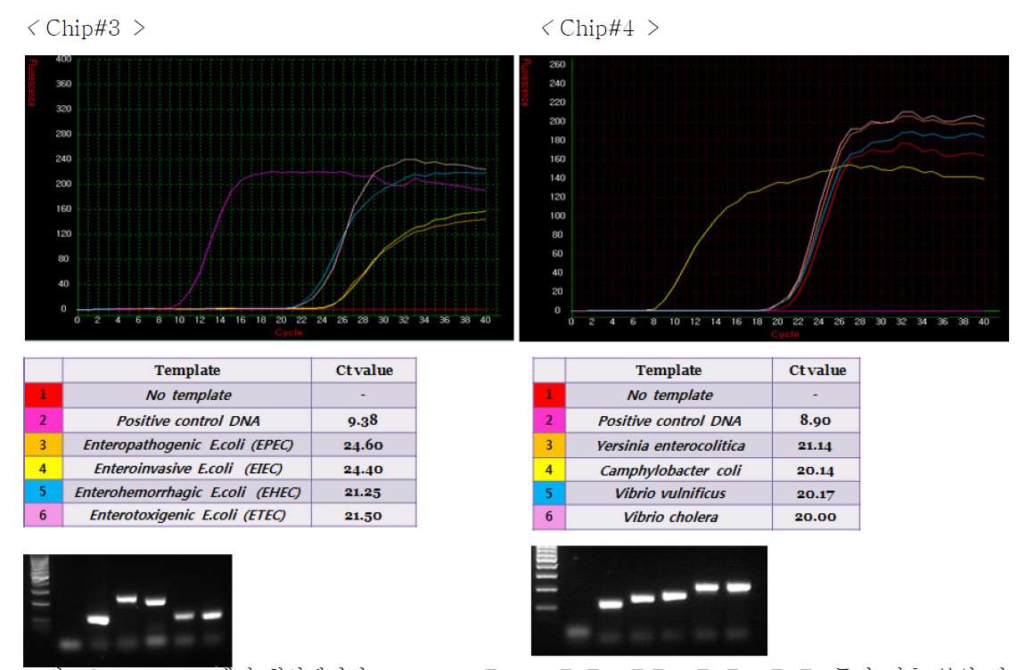 Chip#3: 6채널 칩상에서의 Pathogen E. coli EPEC, EIEC, EHEC, ETEC 동시 검출 분석 결과, Chip#4: 6채널 칩상에서의 Yersinia enterocolitica, Camphylobacter coli, Vibrio vulnificus, Vibrio cholera 동시 검출 분석 결과(Real-Time PCR반응 측정 그래프와 젤 전기영동 사진)