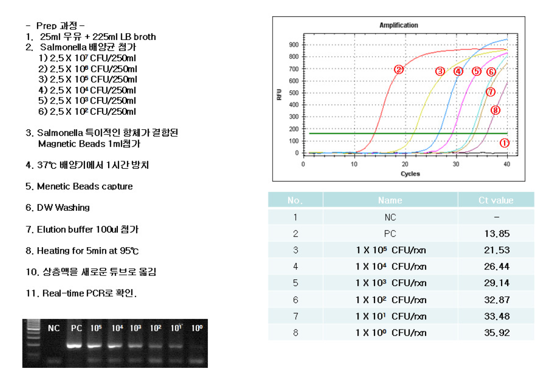 우유 시료속 살모넬라 검출여부 및 검출 한계 시험 결과(Real-Time PCR반응 측정