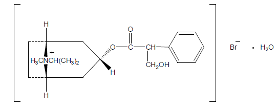 Chemical structures of Ipratropium Bromide Hydrate