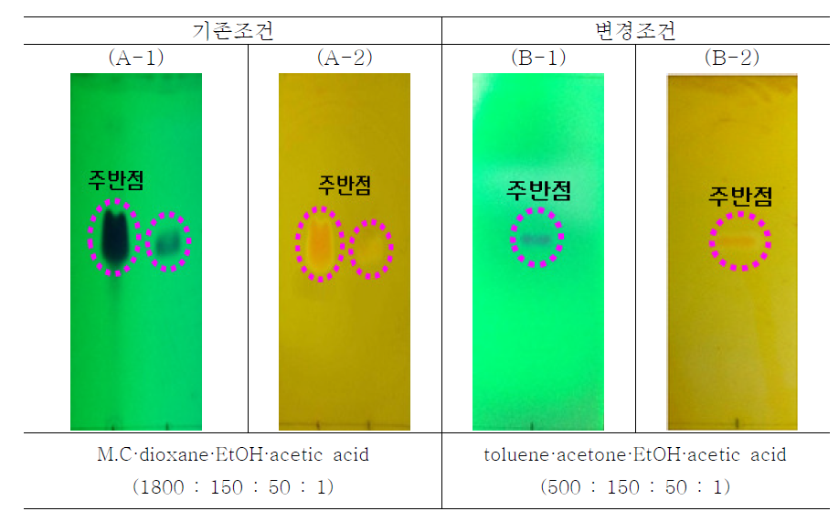 TLC patterns of bromocriptine mesilate with toluene·acetic acid according to the composition of developing solvent, (A-1) methylene chloride·dioxane·ethanol·acetic acid (1800:150:50:1) at UV 254 nm, (A-2) methylene chloride·dioxane·ethanol·acetic acid (1800:150:50:1), (B-1) toluene·acetone·ethanol·acetic acid (500:150:50:1) at 254 nm, (B-2) toluene·acetone·ethanol·acetic acid (500:150:50:1)