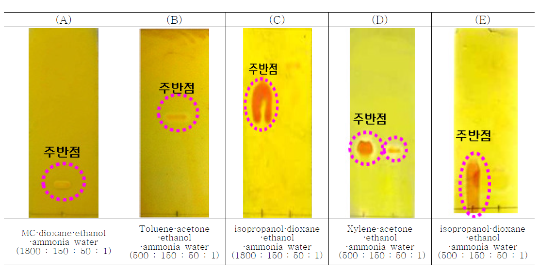 TLC patterns of bromocriptine mesilate with different the composition of developing organic solvent, (A) methylene chloride·dioxane·ethanol·ammonia water (1800:150:50:1), (B) toluene·acetone·ethanol·acetic acid (500:150:50:1), (C) isopropanol·dioxane·ethanol·ammonia water (1800:150:50:1), (D) xylene·acetone·ethanol·ammonia water (500:150:50:1), and (E) isopropanol·dioxane·ethanol·ammonia water (500:150:50:1)