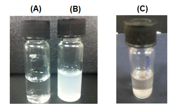 Thiamin hydrochloride (A) in water, (B) added to mercury chloride and (C) added to 0.05 M silver nitrate