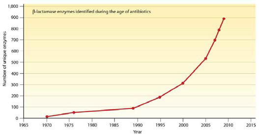 첫 번째 베타-락탐 항생제가 나온 이후의 베타-락탐효소의 수