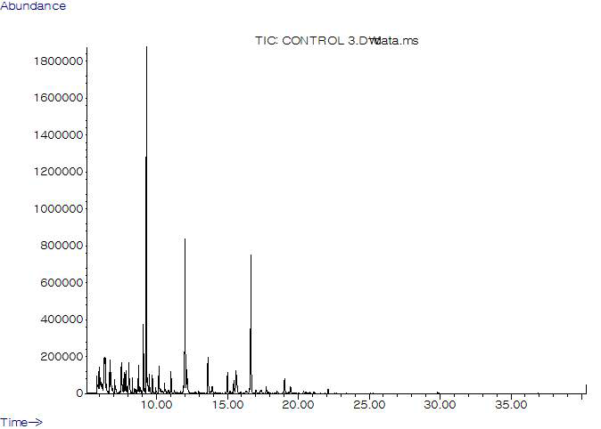 control 참기름 시료의 GC-MS total ion chromatogram