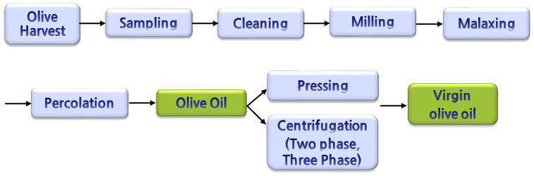 올리브 압착 공정