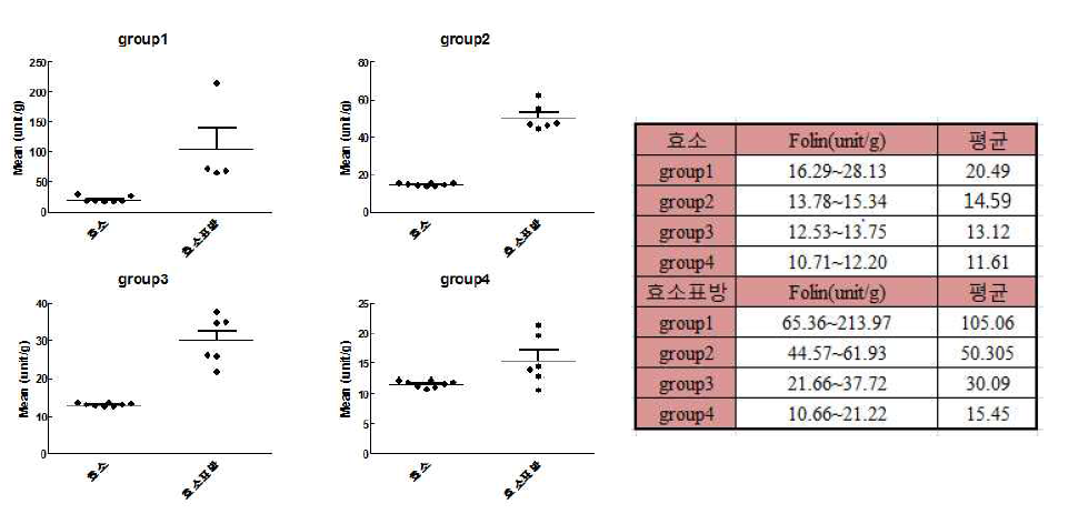 Folin-ciocalteu로 프로테아제 활성 측정 후 grouping 결과 비교