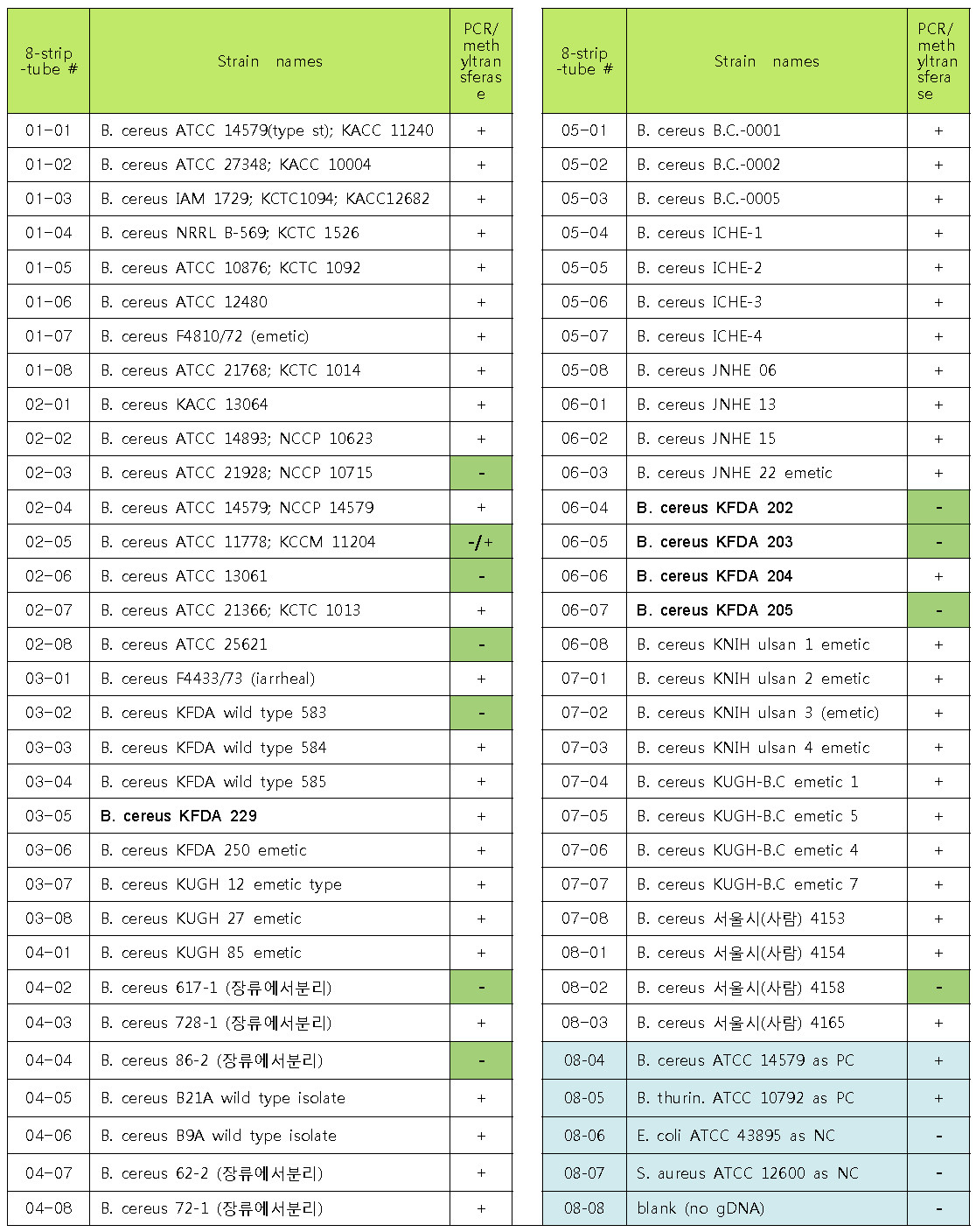 Methyltransferase primer들의 PCR에 사용한 B. cereus 균주 목록 및 결과