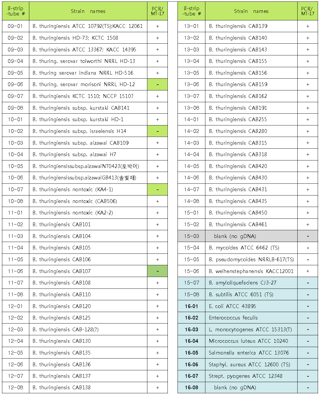 Methyltransferase primer(MT-17)의 PCR에 사용한 B. thuringiensis 균주 목록 및 결과