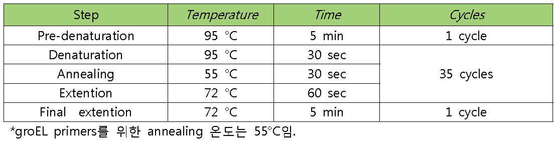 PCR condition