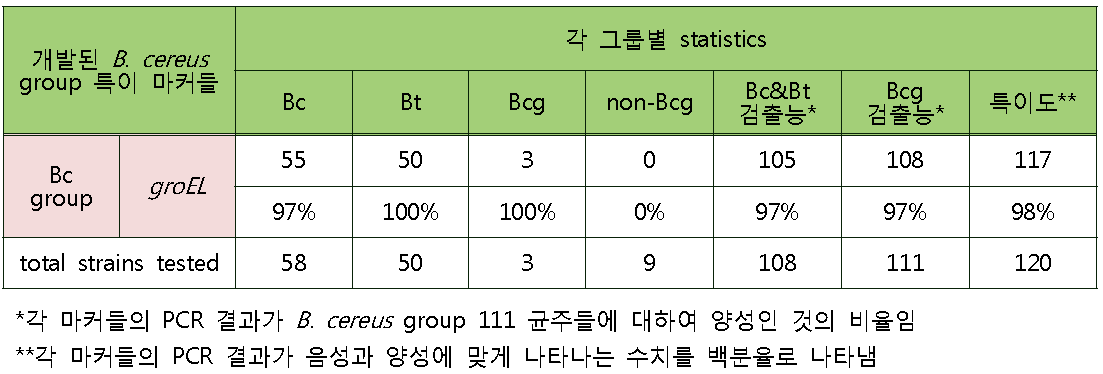 B. cereus group에 대한 groEL primer의 검출 결과