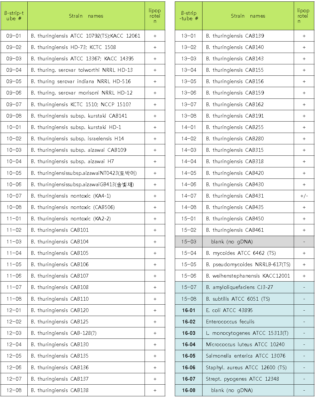 groEL primer들의 PCR에 사용한 120 균주 목록 및 결과