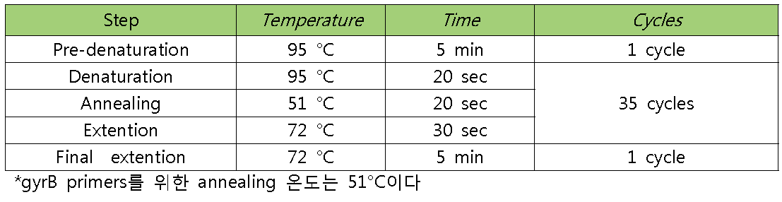 PCR condition