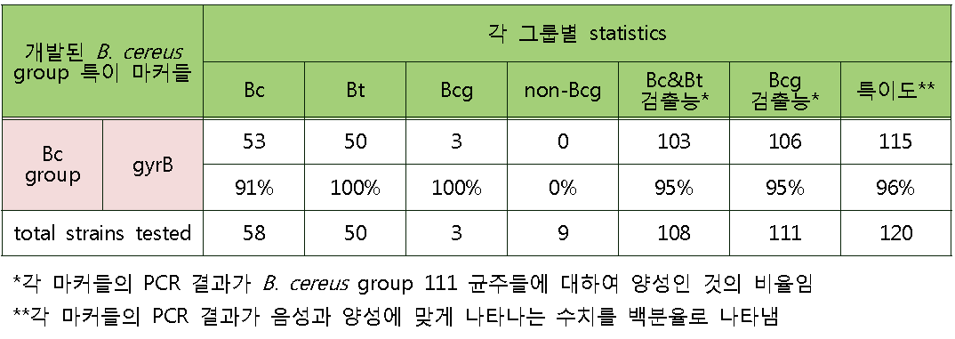 B. cereus group에 대한 gyrB primer의 검출 결과