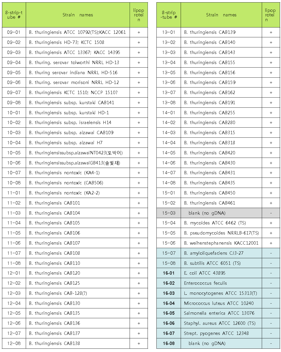 gyrB primer들의 PCR에 사용한 120 균주 목록 및 결과