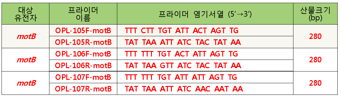 motB gene PCR primers.