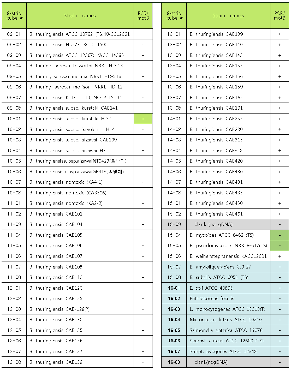 motB triplex primer들의 PCR에 사용한 120 균주 목록 및 결과