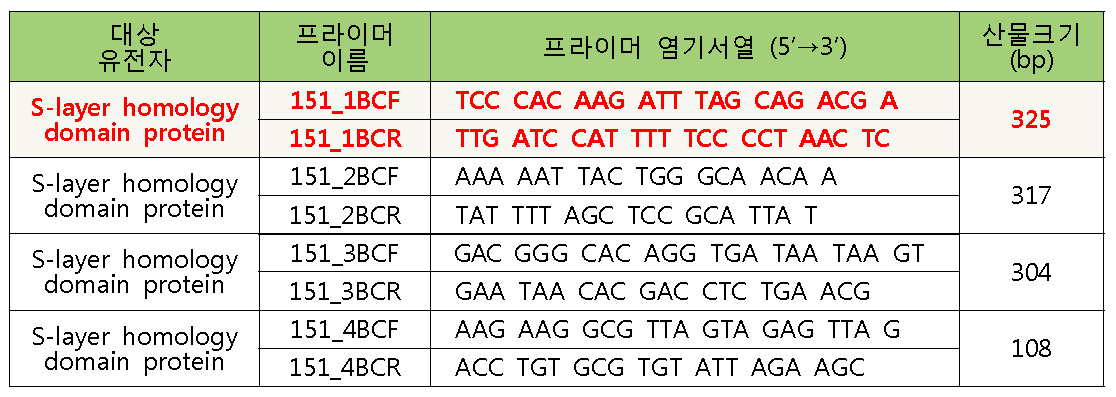 S-layer homology domain protein gene PCR primers.