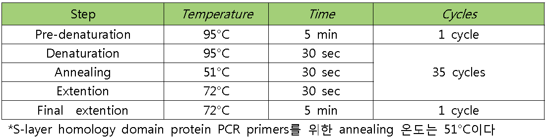 PCR condition