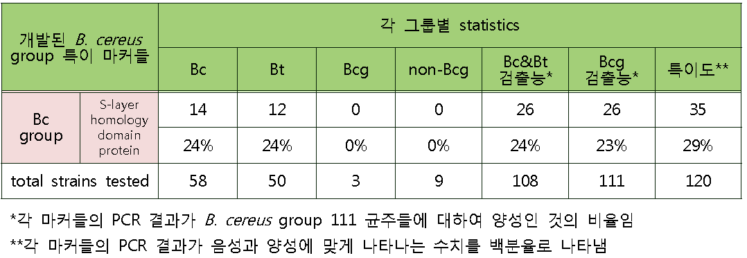 B. cereus group에 대한 S-layer homology domain protein의 검출 결과