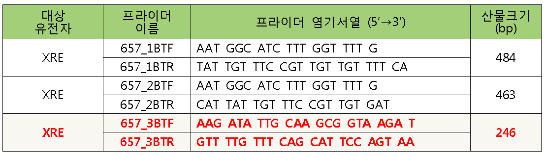 XRE gene PCR primers.