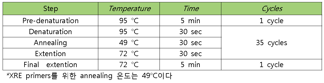 PCR condition