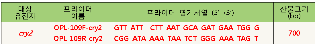 cry2 gene PCR primers.