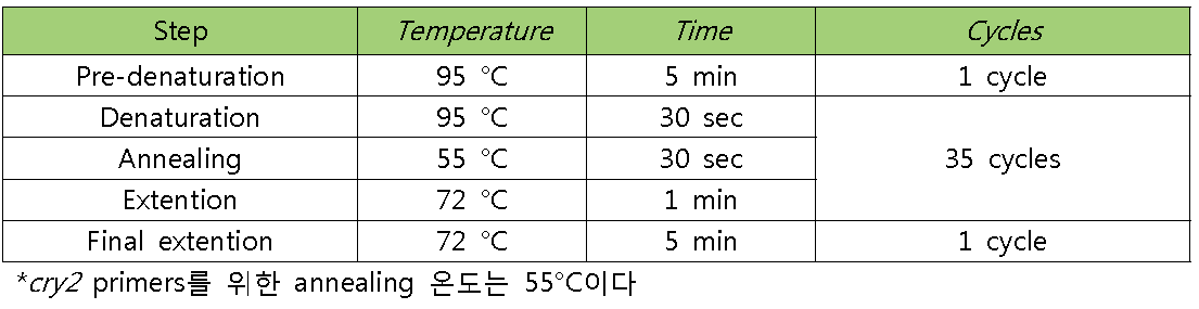 PCR condition