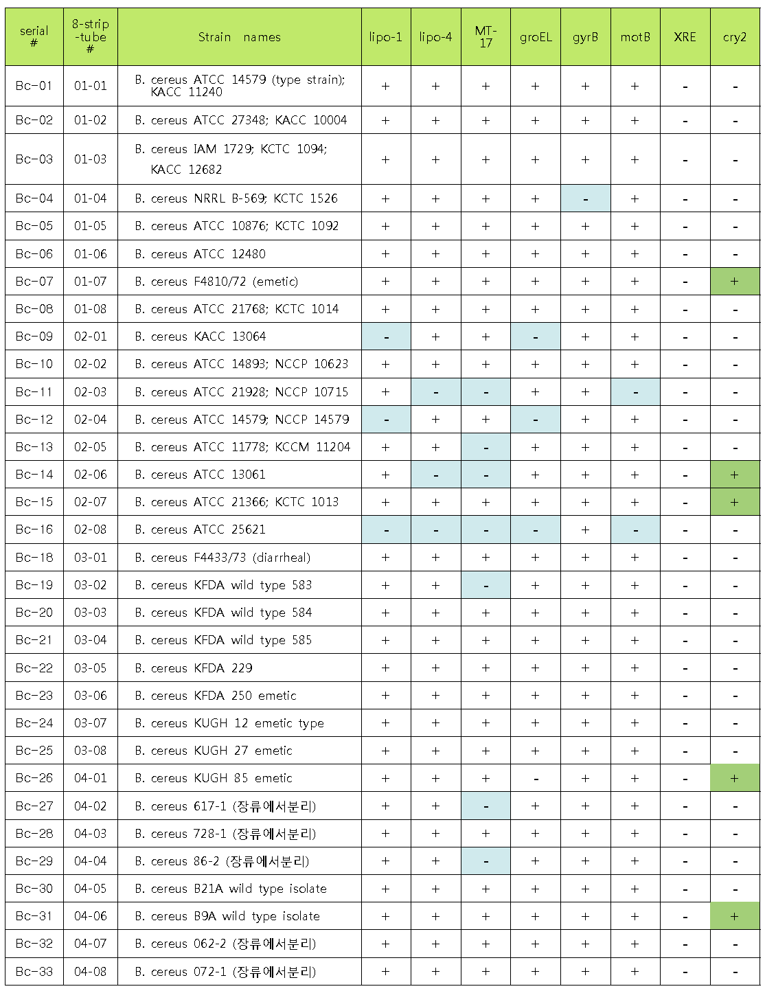 B. cereus group의 종간 구별을 위한 발굴한 바이오마커들의 PCR 결과 통합표