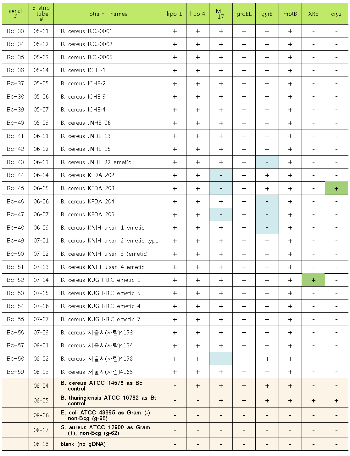 B. cereus group의 종간 구별을 위한 발굴한 바이오마커들의 PCR 결과 통합표