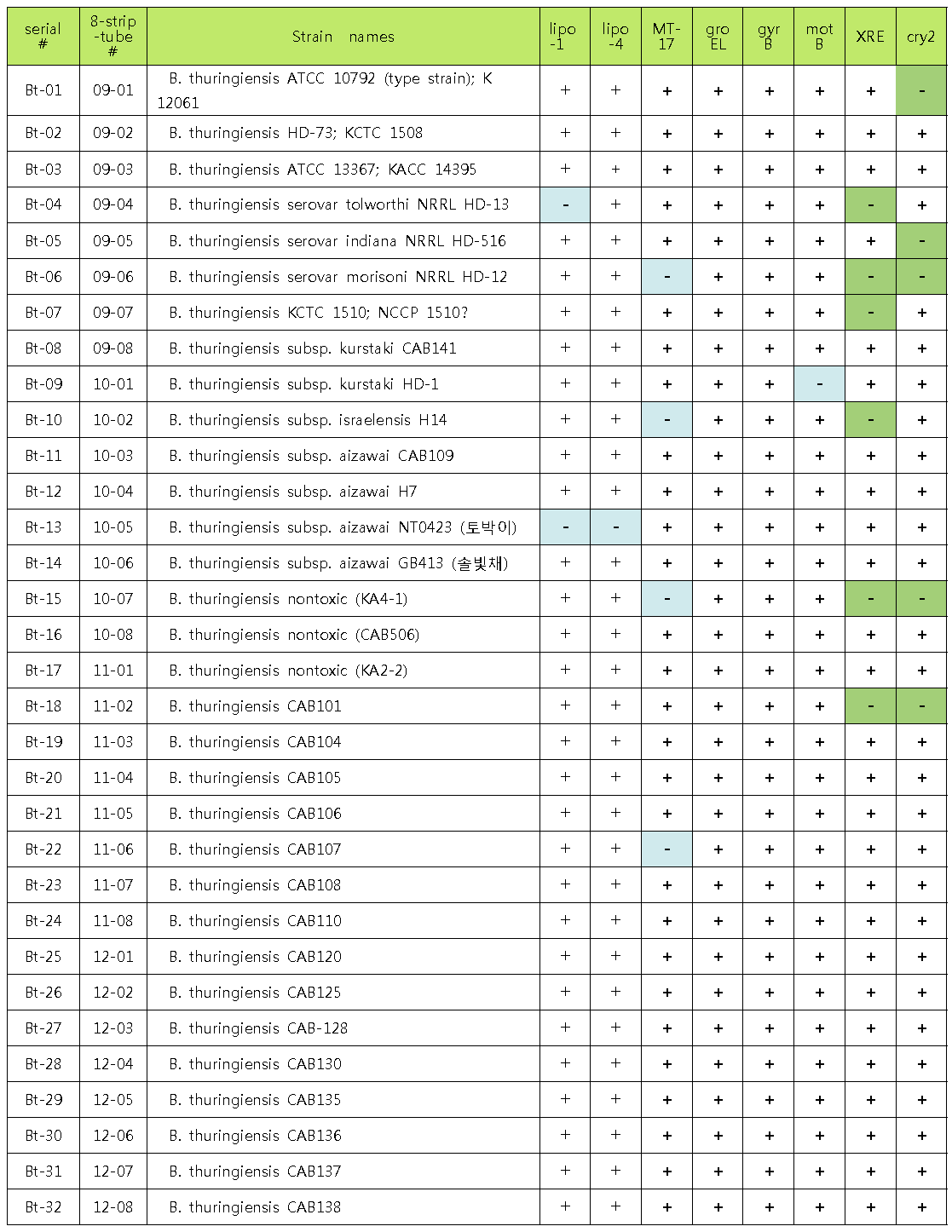 B. cereus group의 종간 구별을 위한 발굴한 바이오마커들의 PCR 결과 통합표