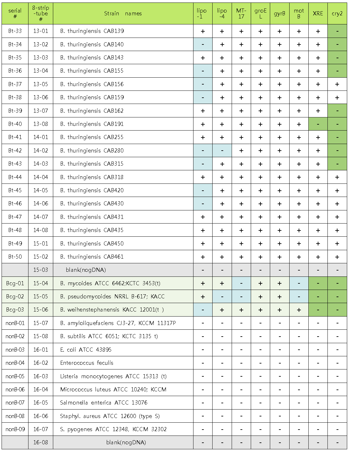 B. cereus group의 종간 구별을 위한 발굴한 바이오마커들의 PCR 결과 통합표