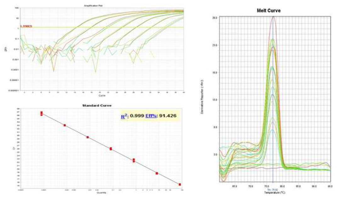 lipo-4 primers를 사용한 real-time PCR의 Amplication curve, Standard curve 및 Melting curves