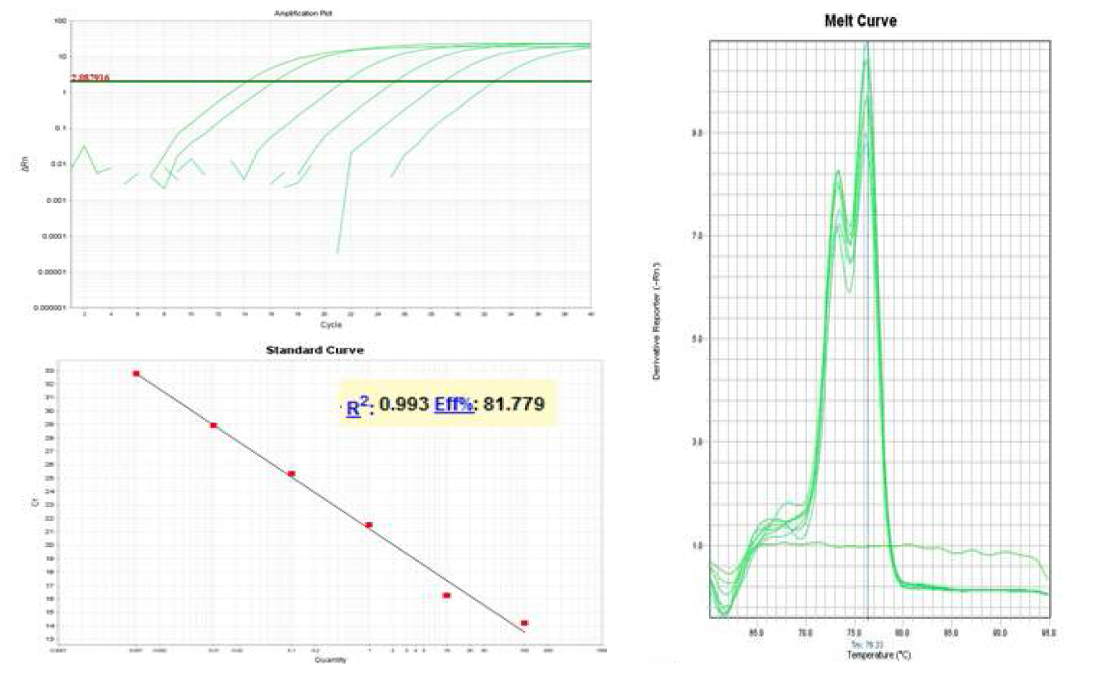 Amplication curve, Standard curve and Melting curves generated by real-time PCR using XRE primers.