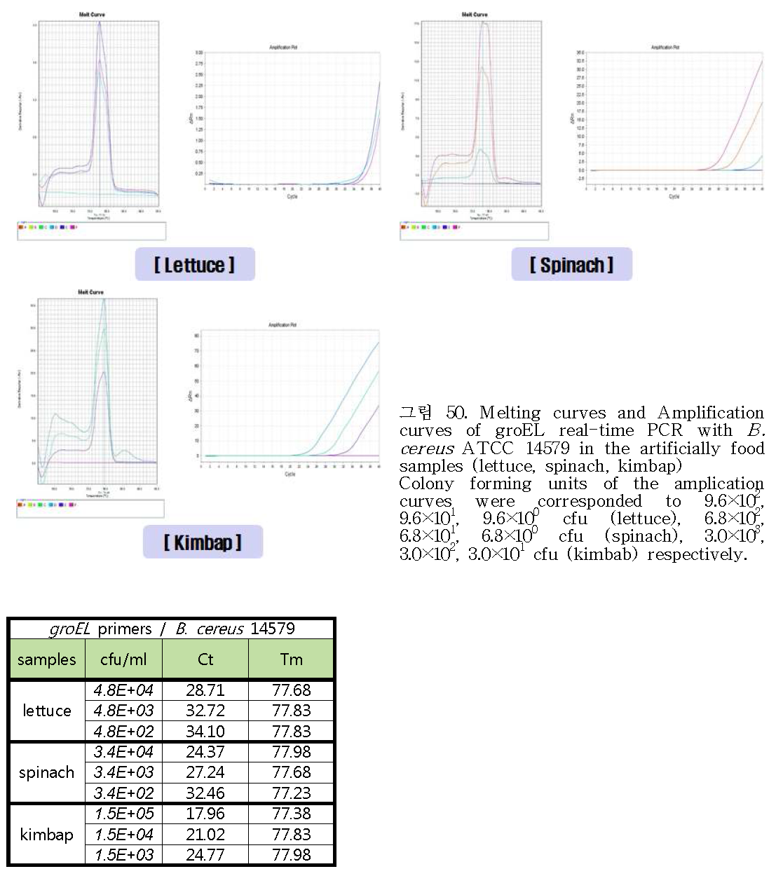 Melting curves and Amplification curves of groEL real-time PCR with B. cereus ATCC 14579 in the artificially food samples (lettuce, spinach, kimbap)