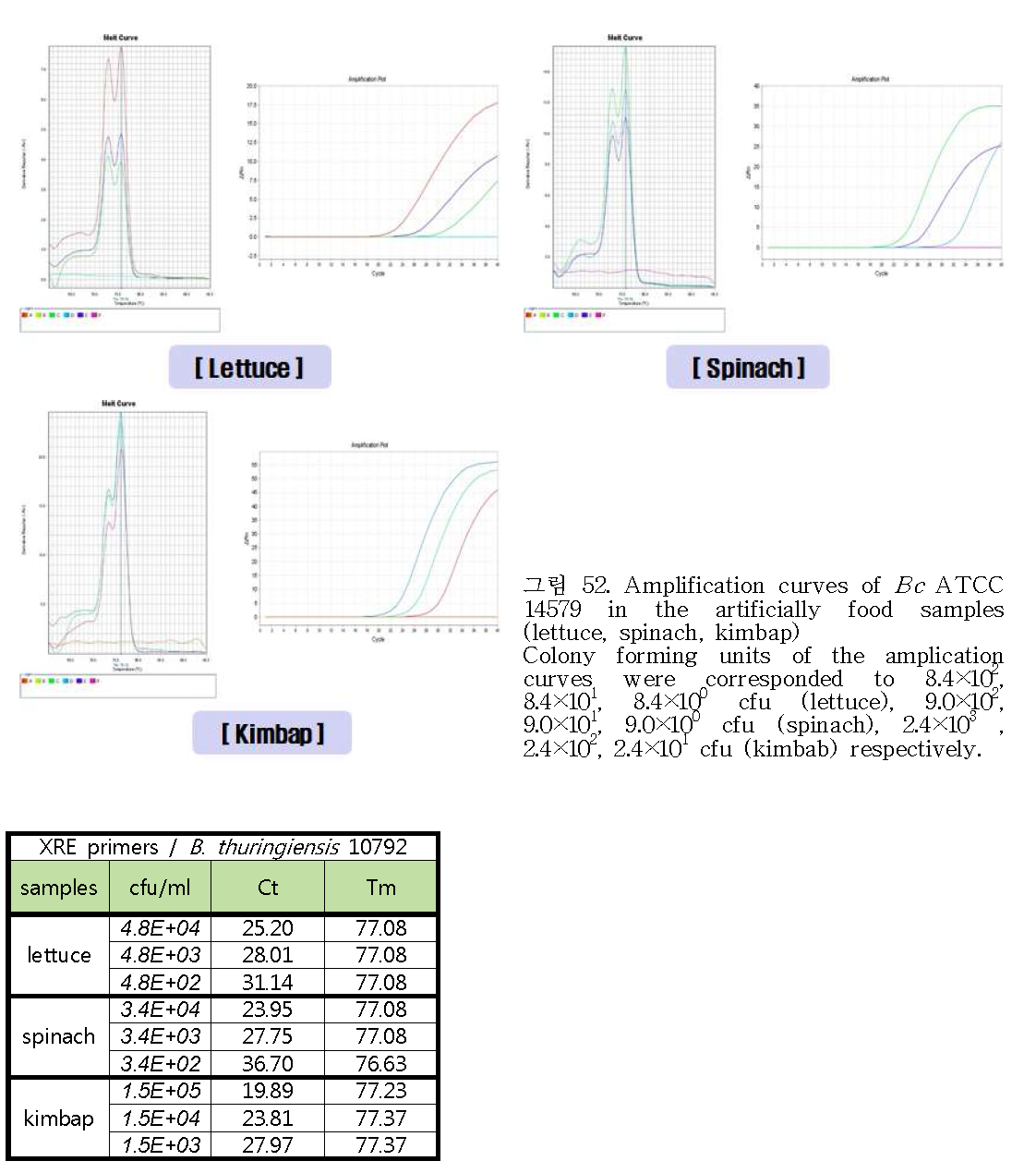 Amplification curves of Bc ATCC 14579 in the artificially food samples (lettuce, spinach, kimbap)