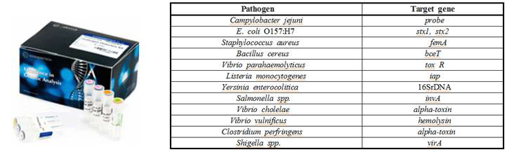 바실러스를 비롯한 다양한 병원성 세균 검출용 PCR 키트
