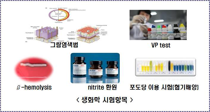 생화학 시험항목