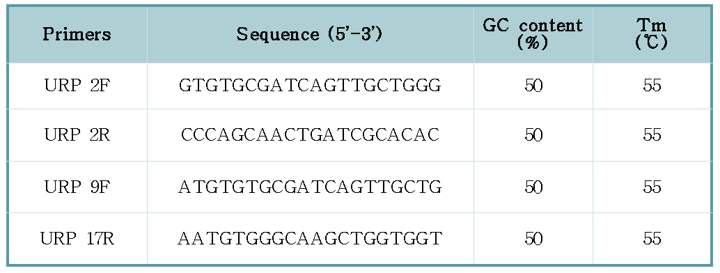 본 연구에 사용된 Universal rice primer (URP)