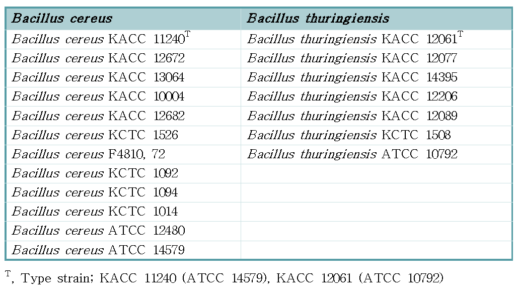 본 연구에 사용한 균주 정보